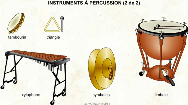 Instruments à percussion 2 (Dictionnaire Visuel)